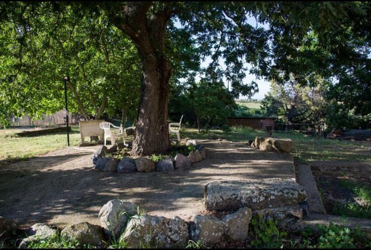 Favoloso Appartamento In Villa Monterosi Kültér fotó