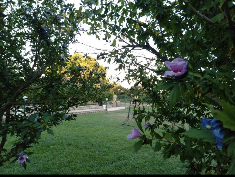 Favoloso Appartamento In Villa Monterosi Kültér fotó