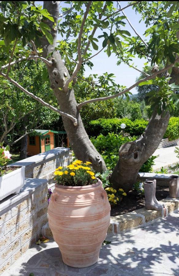 Favoloso Appartamento In Villa Monterosi Kültér fotó