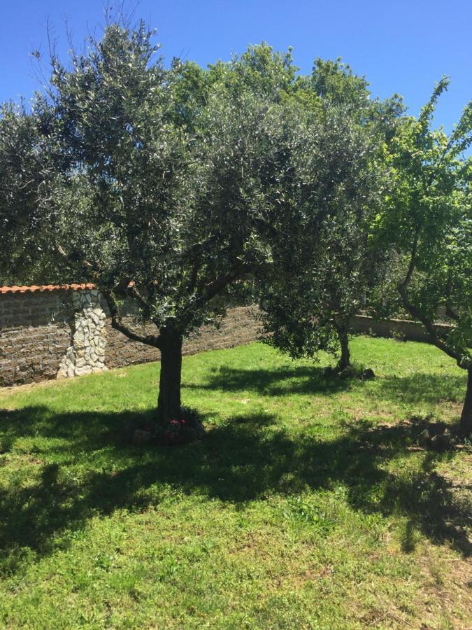 Favoloso Appartamento In Villa Monterosi Kültér fotó